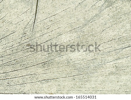 Retro, grunge, old leaf texture that look like old wood. Old Ginkgo biloba leaf extreme close-up.