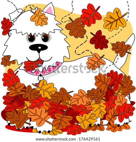 Playing in the leaves.  A little dog is playing in the colorful fall leaves.