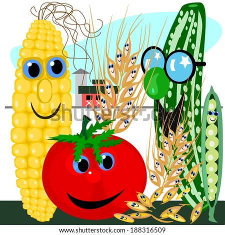 Vegetables and grains on the farm.  A group of vegetables and grains have a meeting at the farm.