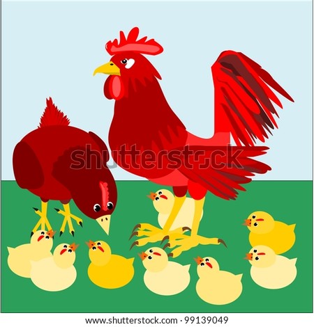 Rooster and family.  Illustration of a red rooster and his family. Mother hen watching over her chicks.