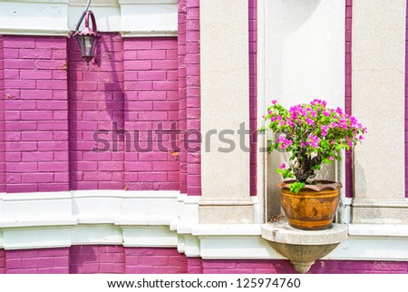 the dark pink brick wall and a chinese flower pot of flowers here make this corner in the city lovely