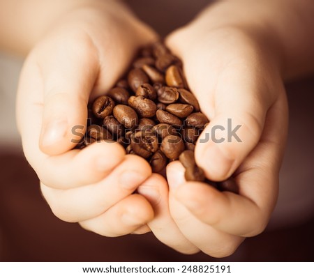 roasted coffee beans in little boy palms