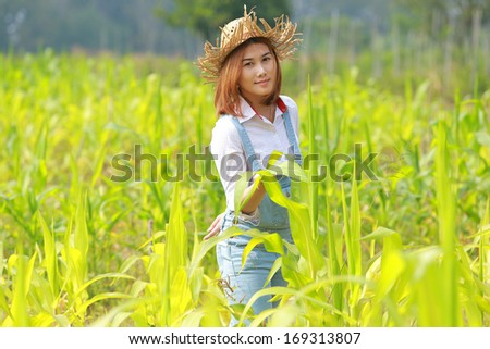 Woman Agriculture in corn field