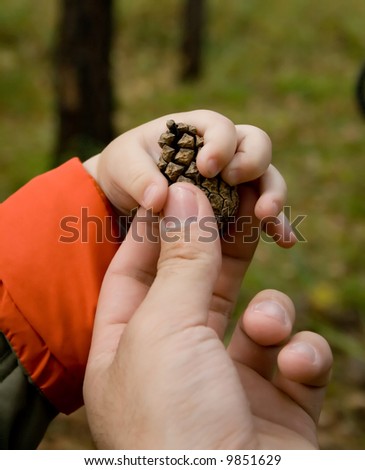 photo of father giving pine cone to child. There only hands and cone are visible