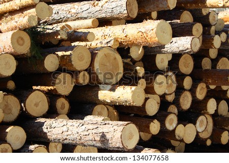 Log Pile at Angle, Finland