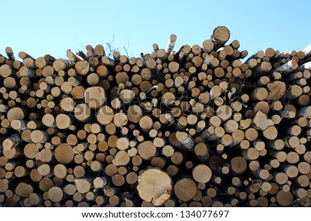 Log Pile with Blue Sky, Finland
