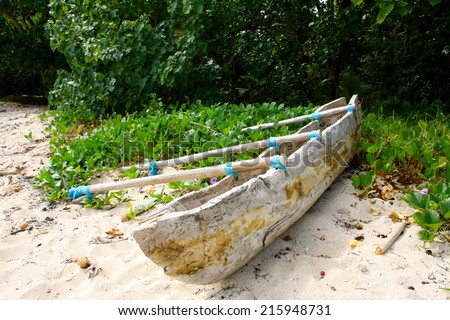 Traditional Dugout Outrigger Canoe amid Green Vegetation on a Beach on Tanna Island, Vanuatu