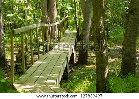 Wooden bridge on a hiking trail in the forest