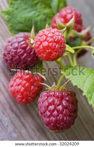 Beautiful raspberries still hanging in the plant.