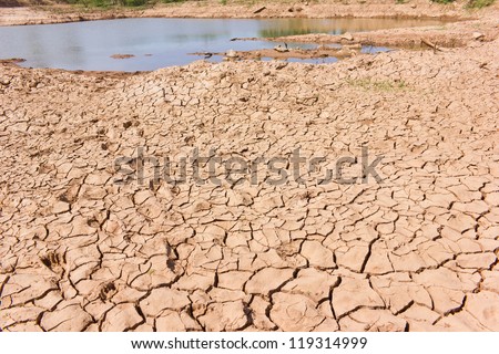 Droughts soil. Water shortages