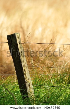 split wood fence post with plain wires green and dry grass