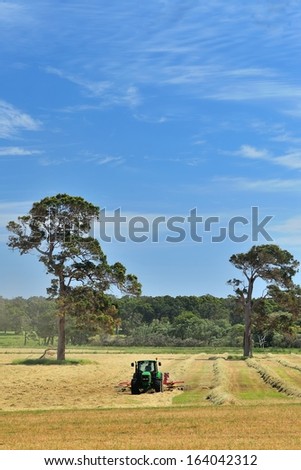 tractor making windrows of hay on australian farm