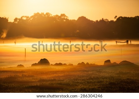 Low rocks in farmland at dawn with fences, forest, fog and golden colour