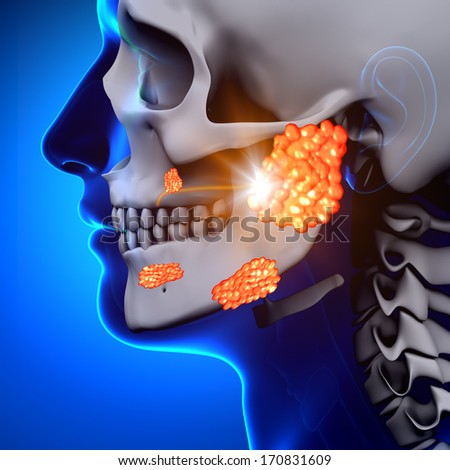 Mumps Parotid Gland Sickness Mumps Parotid Gland Sickness