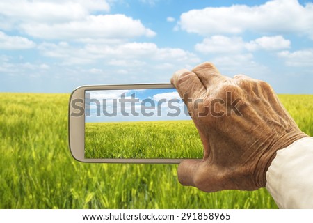Old hand taking photography of green wheat field. Agricultural concept.