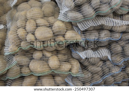 potatoes in mesh bags close-up