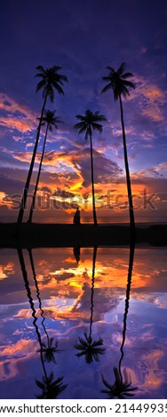 silhouette of palm tree with unidentified man - - digital composite,  water reflection and ripple effects.