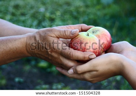 Woman giving girl apples from hands to hands in garden close up