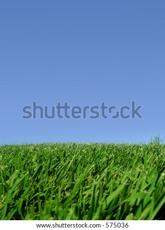 Background of blue sky and grass