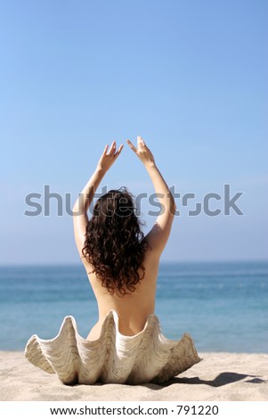 Girl in sea shell on the beach
