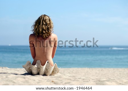 A girl sitting in sea shell on the beach