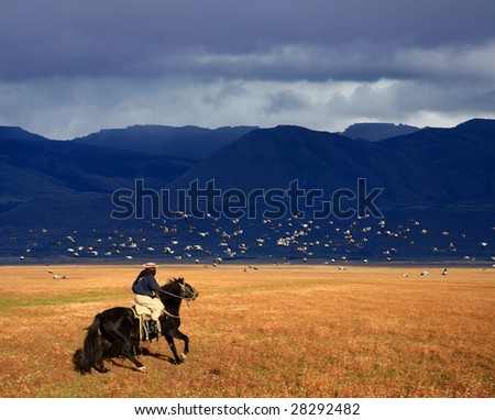 A gaucho riding his horse in Patagonia, Argentina