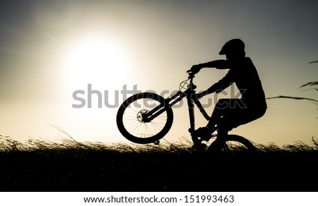 Mountain Bike Silhouette Acrobatic