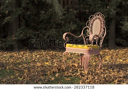 Pink antique chair isolated in an autumnal garden