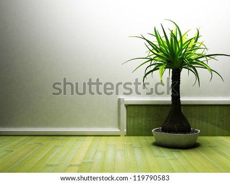 a nice palm in the dark room, rendering