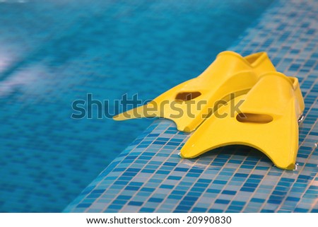 Pair of swimm fins on swimming-pool