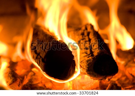 Fire wood burns in an oven