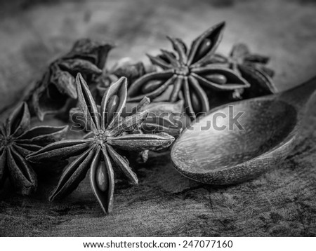 black and white star anise