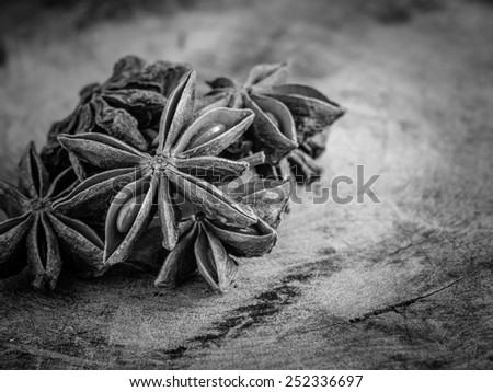 black and white star anise