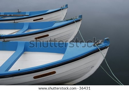 Partial of three wooden, white/blue row boats on calm waters.  All are tied down.