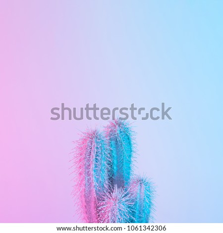 Cactus in vibrant bold gradient purple and blue holographic colors. Concept art. Minimal surrealism.