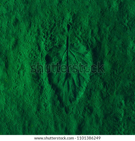 Creative nettle leaf impression on green powder. Minimal nature