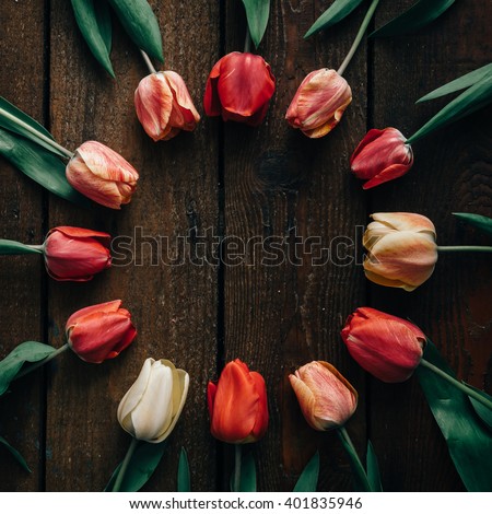 Creative arrangement of tulips on dark wooden background. Flat lay.