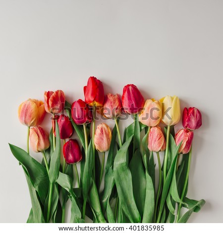 Creative arrangement of tulips on white background. Flat lay.