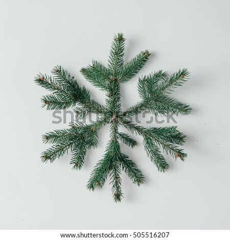 Snowflake made of Christmas tree branches. Flat lay. Winter concept.