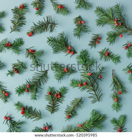 Pattern made of christmas tree branches and red berries on blue background. Christmas concept. Flat lay.