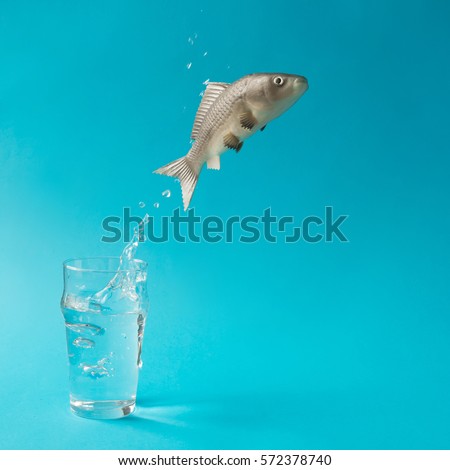 Fish jumping out of glass of water. Creative minimal concept.