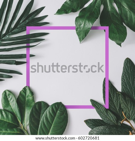 Creative minimal arrangement of leaves on bright white background with pink frame. Flat lay. Nature concept.