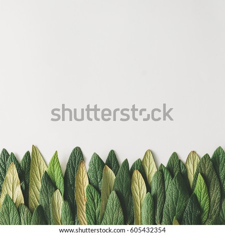 Forest treeline made of green leaves on bright background. Minimal nature concept. Flat lay.