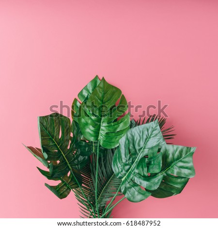 Tropical palm leaves on pink background. Minimal nature summer concept. Flat lay.
