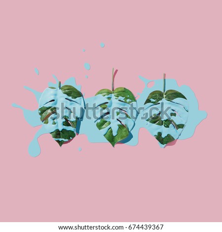 Blue paint splatter over tropical leaves on pink pastel background. flat lay. Minimal concept.