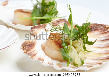 appetizerclose-up: scallops, onion fennel, herbs