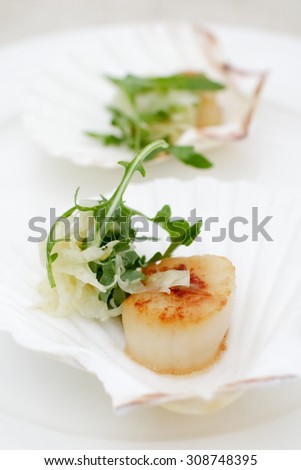 appetizerclose-up: scallops, onion fennel, herbs