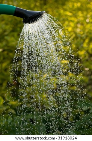 Sprinkler with water pouring on grass with flowers