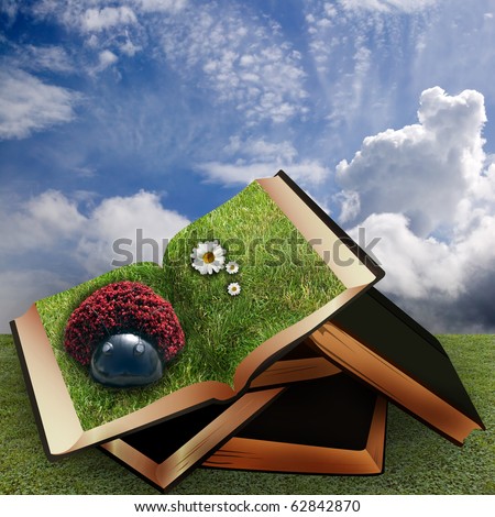 Book composition with flowers and ladybird on nature background