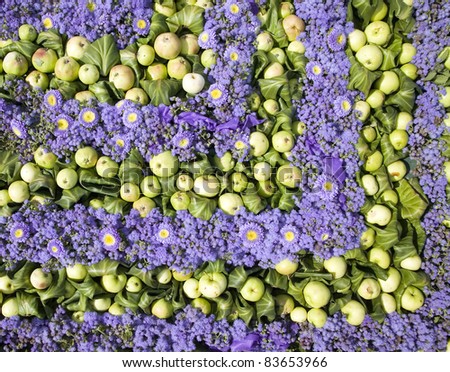 Apples placed in lines with violet flowers around them